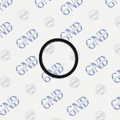 DOBLO 1.3 JTD EURO 4 O-RING